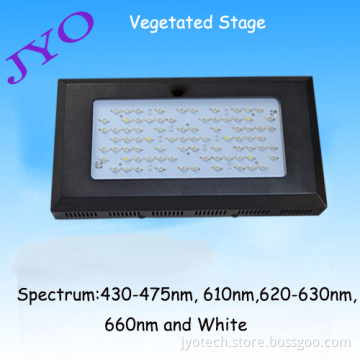 100X3w Grow Light With Full Spectrum